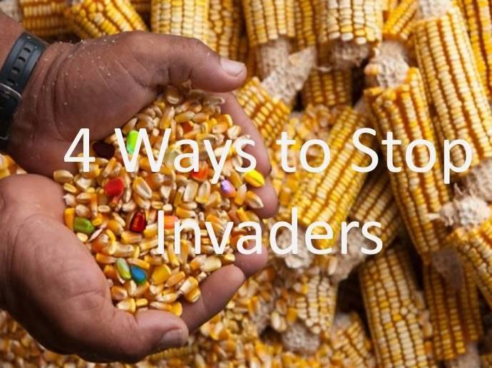 Part 2 - 4 Ways to Stop Invaders in Your Body