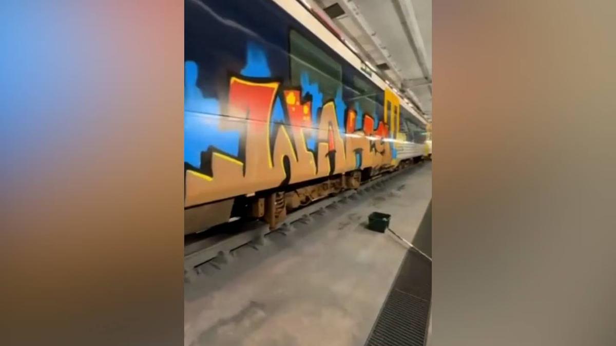 Auckland trains graffitied amid Warriors fever