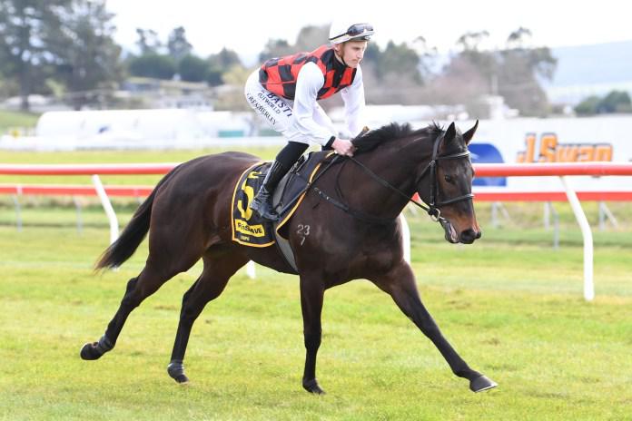 Alexanders with two strong prospects on special Hastings raceday