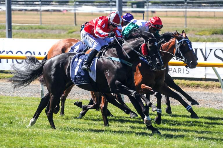 All About Magic takes Timaru Stakes