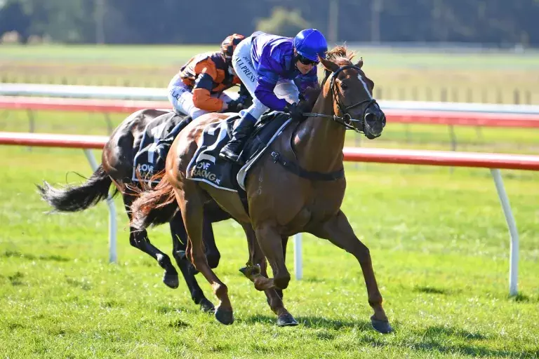 In-form 5YO ready for Anzac Mile challenge