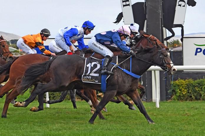Thurlow pleased with Guineas hope despite unorthodox campaign
