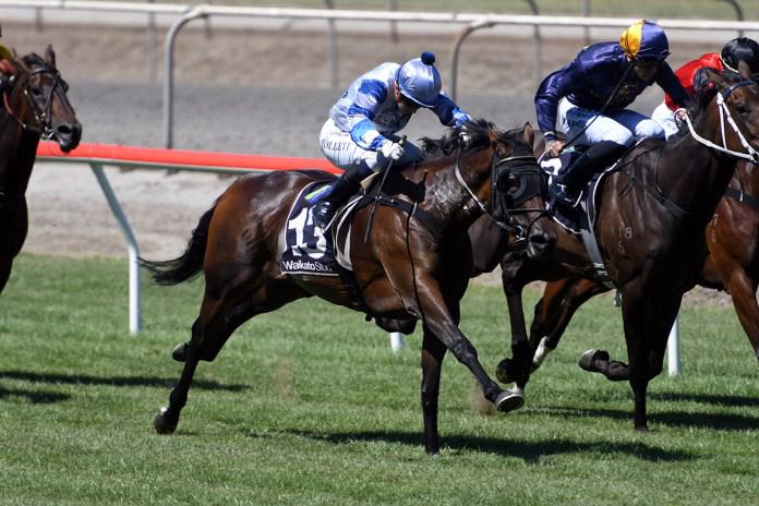 Stakes targets beckon regally-bred filly