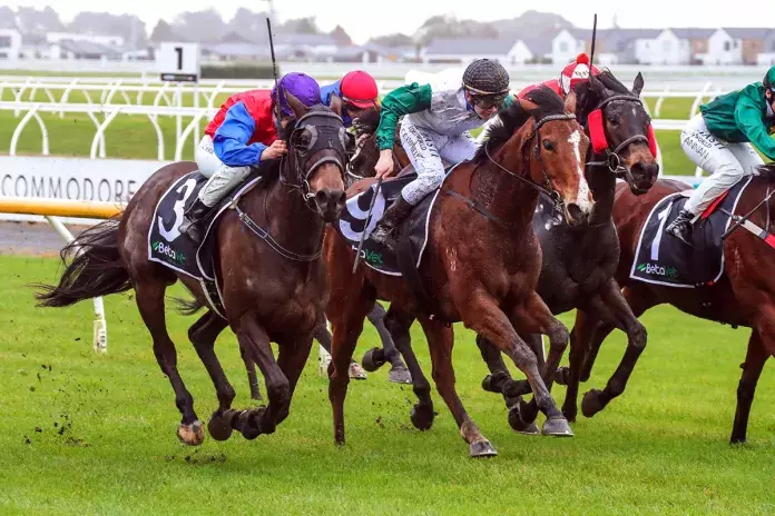 Promising mare glows at Riccarton