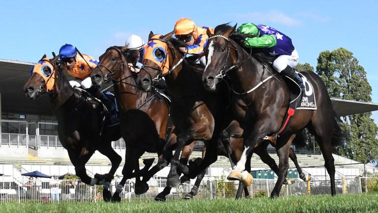 Te Akau three-year-old ready to ascend another Guineas throne