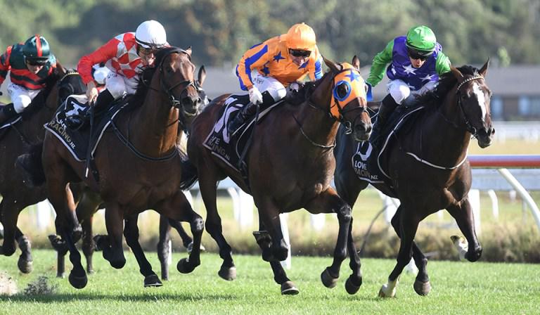 Ascend The Throne claims Waikato Guineas crown
