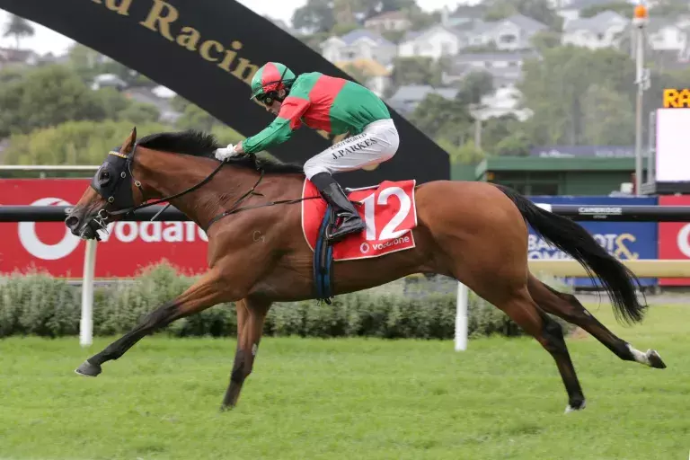 NZTR Horse of the Year Finalists announced