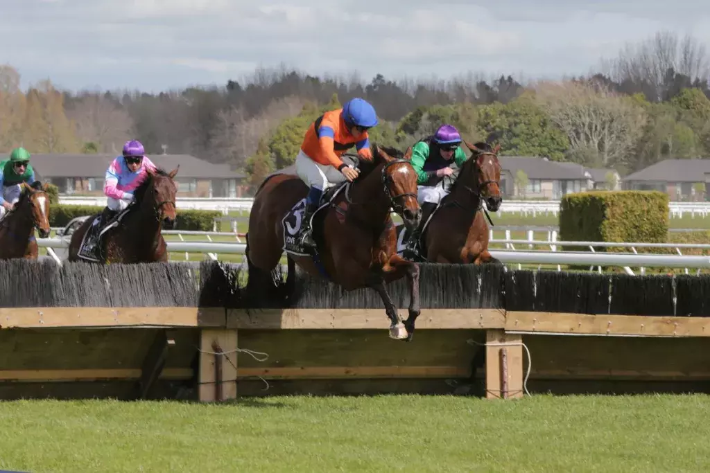 Famous colours in upset Great Northern Hurdle victory