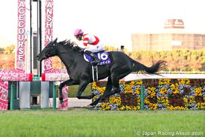 Tenth Pick Akai Ito Scores Upset Victory in This Year's Queen Elizabeth II Cup