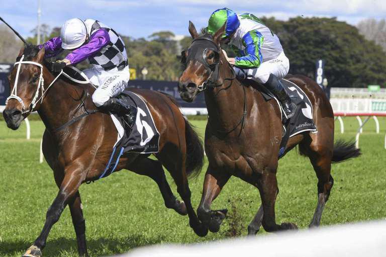 Blinkers to bring out best in Group One hope