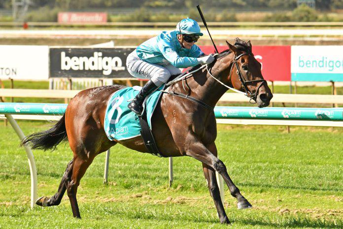 Stakes win for Reliable Man filly