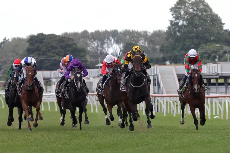 Aquacade issues powerful Cup statement at Pukekohe