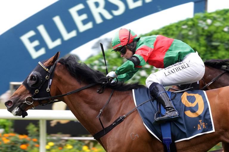 In Form Asterix on song for Auckland Cup