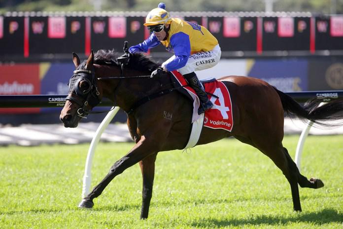 Henderson hoping to pop some bubbles at Ellerslie