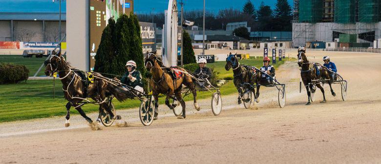 Auckland Harness Preview