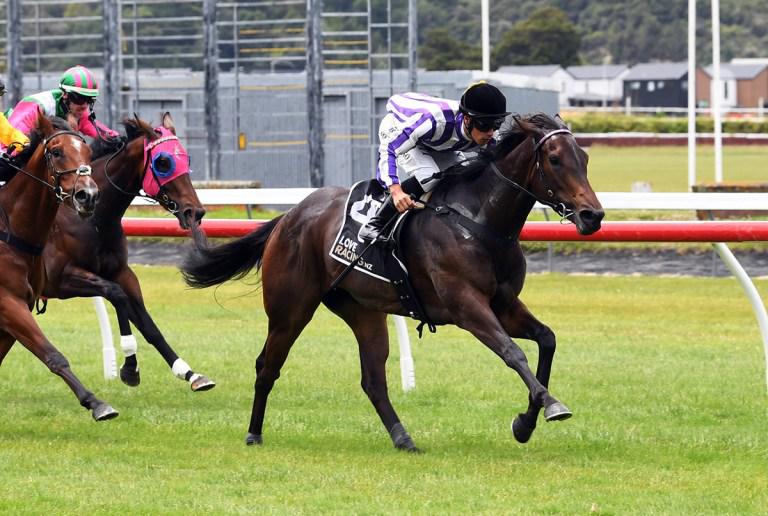 Smart filly continues winning story