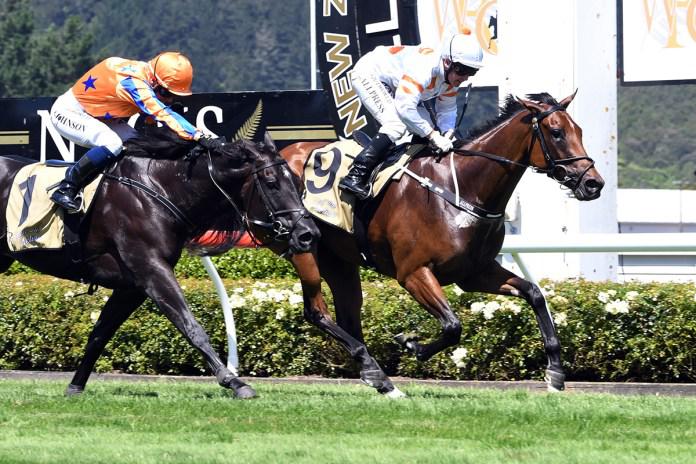Benner out for more Guineas glory