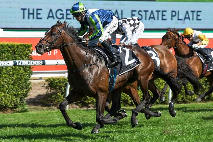 Cox Plate on the cards for Brandenburg