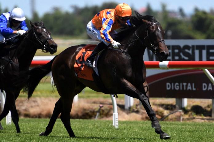 The Sky's the limit for speedy filly