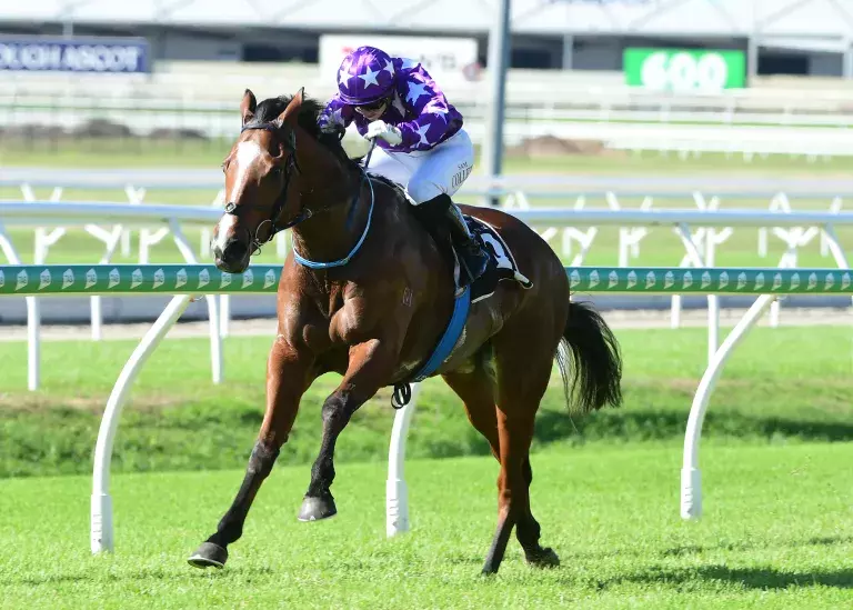 Sale would be dream Queensland finale