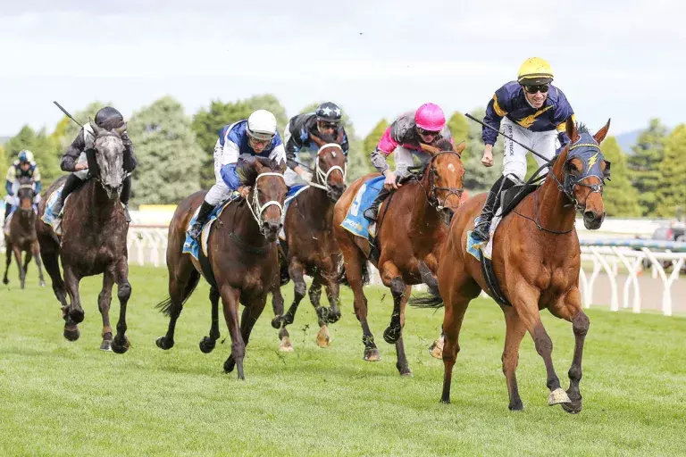 Pakenham Cup option for Bankers Choice