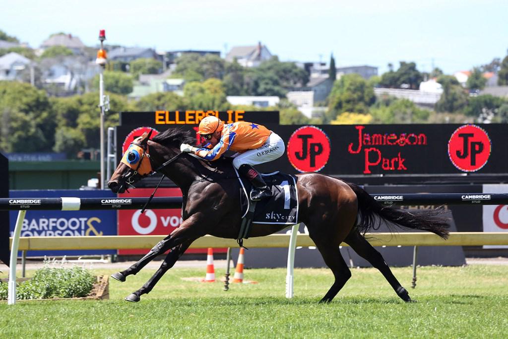 Early feature double sets up another big Boxing Day for Te Akau