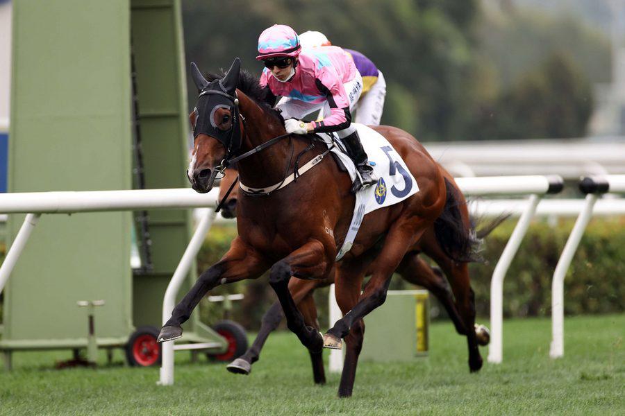 Beluga lands Sha Tin feature for Hall and Chadwick