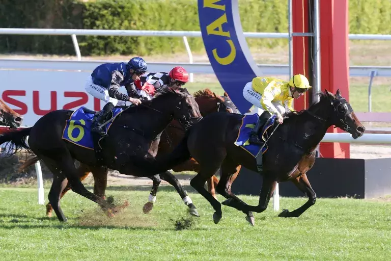 Bonny Lass delivers in style at Te Rapa