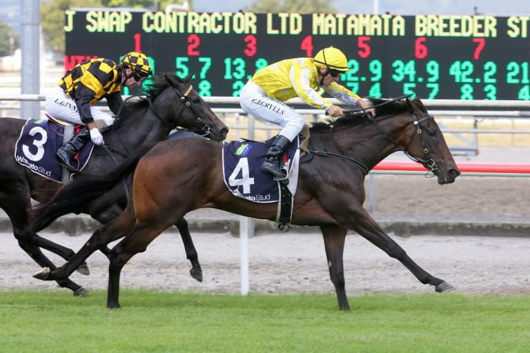  Campaign halted for Bonny Lass