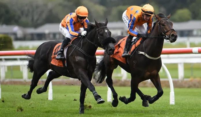 Te Akau pleased with exhibition gallops