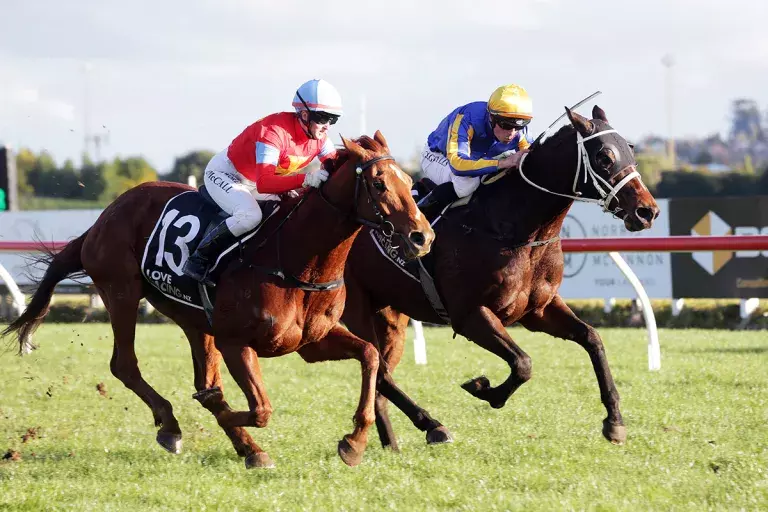 Track specialist saves best for Te Rapa