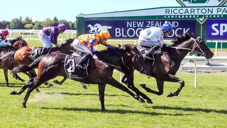 Burn To Shine right in Guineas mix with feature win