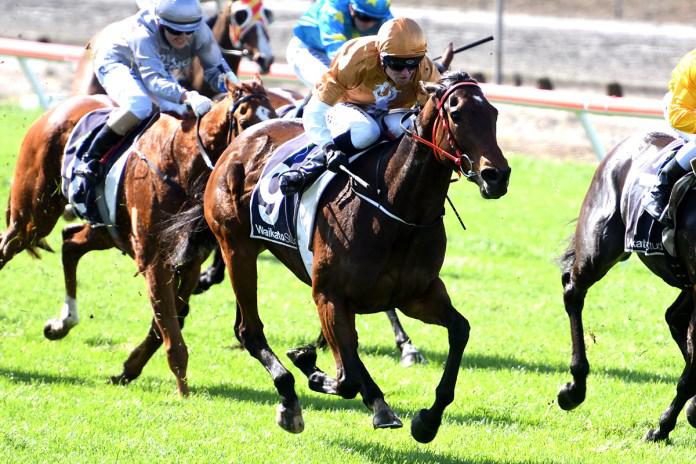 Te Rapa test for in-form mare