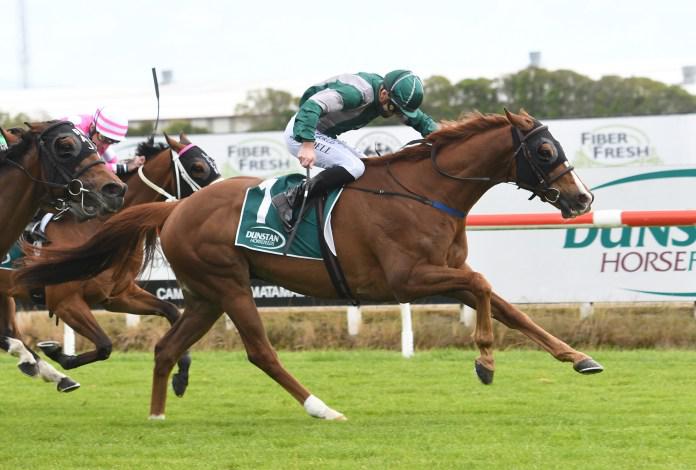Injury-plagued galloper rewarded with Group success