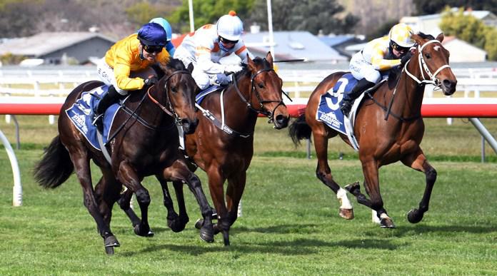 Savabeel filly all business at Wanganui