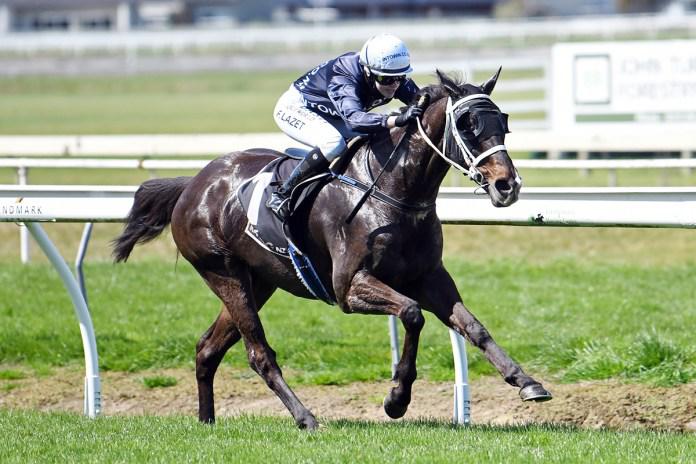 Colorado Star on target for Riccarton feature