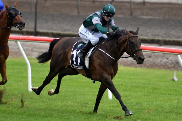 Cameron unveils promising filly