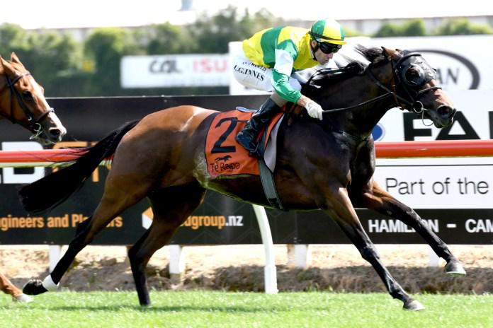 James and Wellwood to the fore at Te Rapa