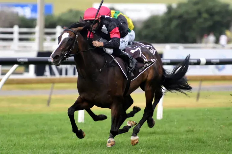 Coventina Bay thriving ahead of Cup
