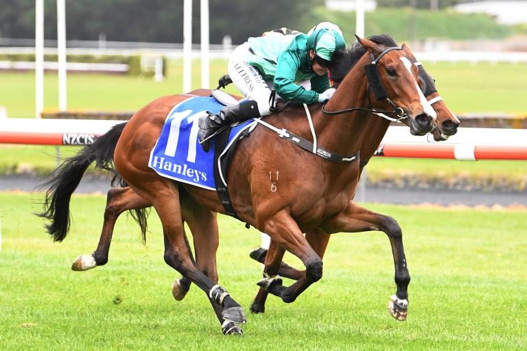 Otaki mare in search of crowning glory