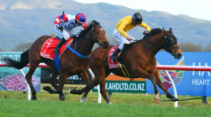 Two under cloud for Cox Plate