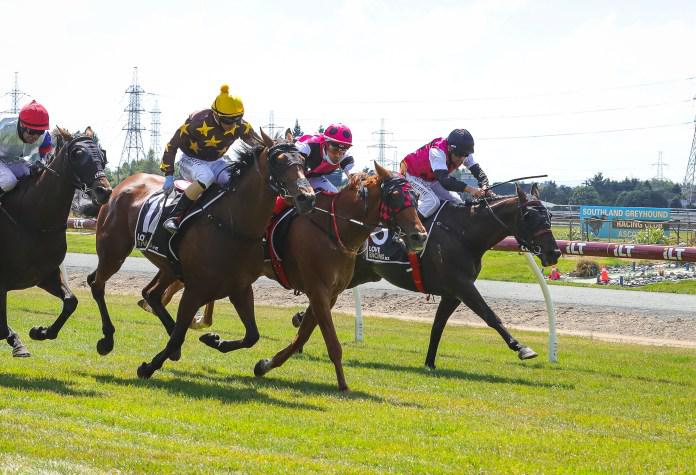 Tylers go two-handed into Southland Guineas