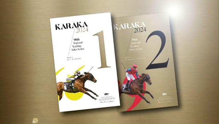 2024 National Yearling Sale catalogues out now