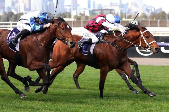 Stakes target for rising star