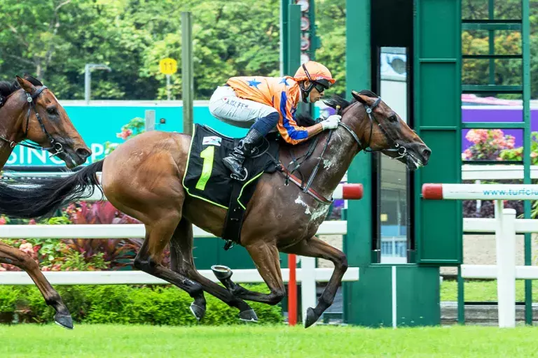 Te Akau maintains strong pace in Singapore