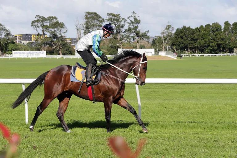 Melbourne in mind for undefeated juvenile