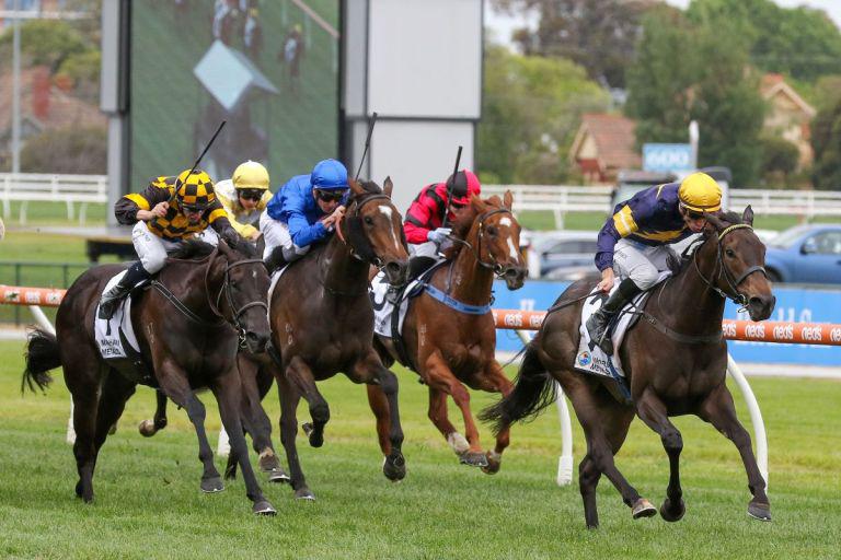Coeur Volante likely to target Qld