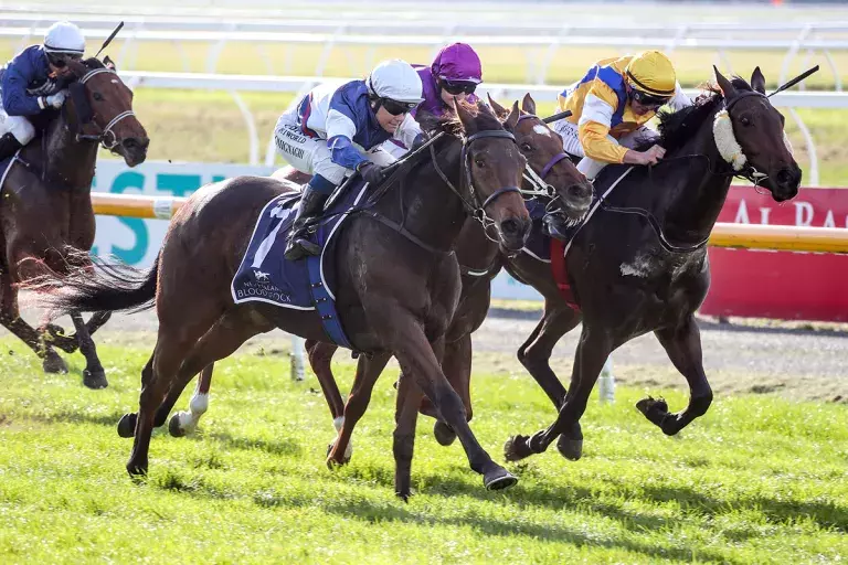 Latta hoping for dramatic turn in Oaks build-up