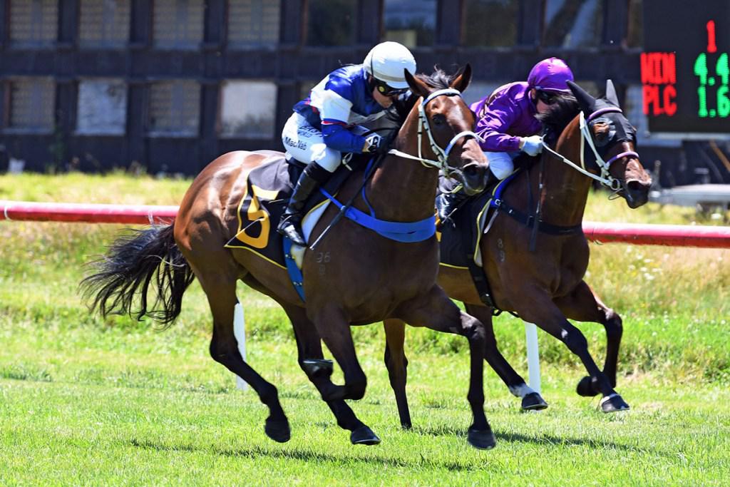 Diss Is Dramatic races into Karaka Million contention