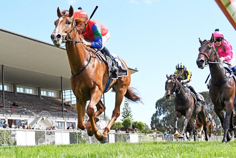 Group One goals for debut winner Domain Ace
